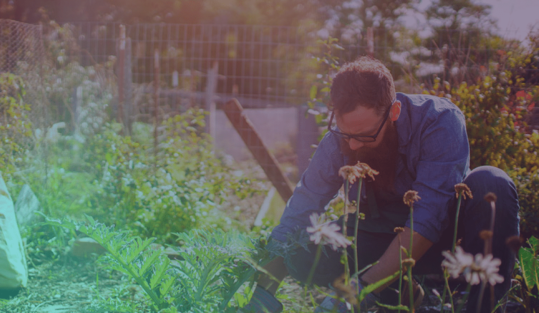 Una persona con gafas y barba cuida las plantas de un jardín, rodeada de vegetación y flores, bajo la luz brillante del sol.