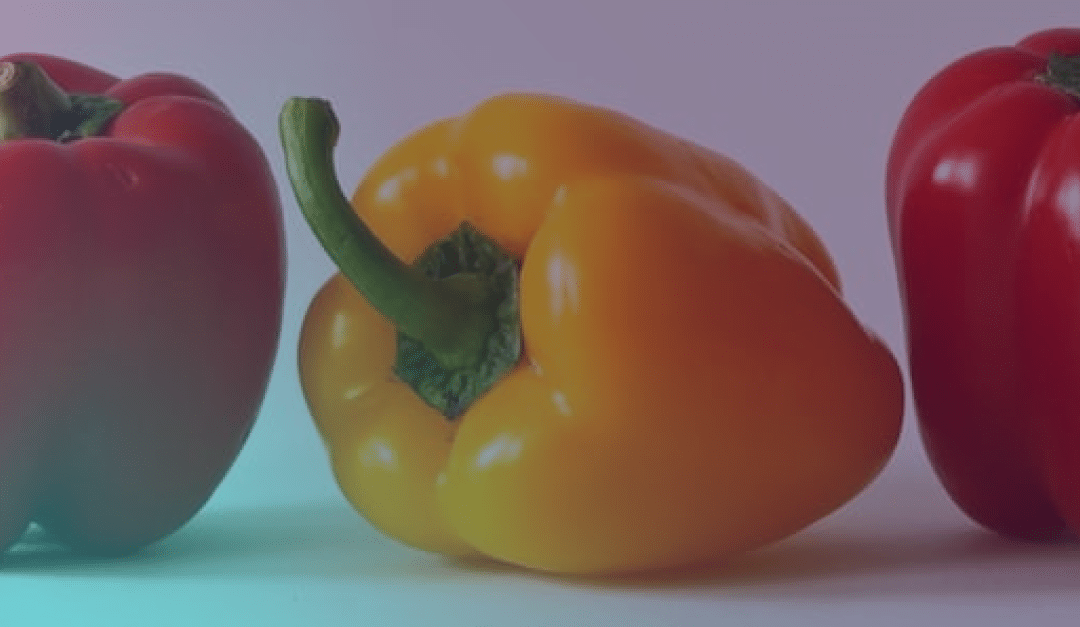 Tres pimientos —dos rojos y uno amarillo— están dispuestos uno al lado del otro sobre una superficie plana con un fondo con un suave degradado.