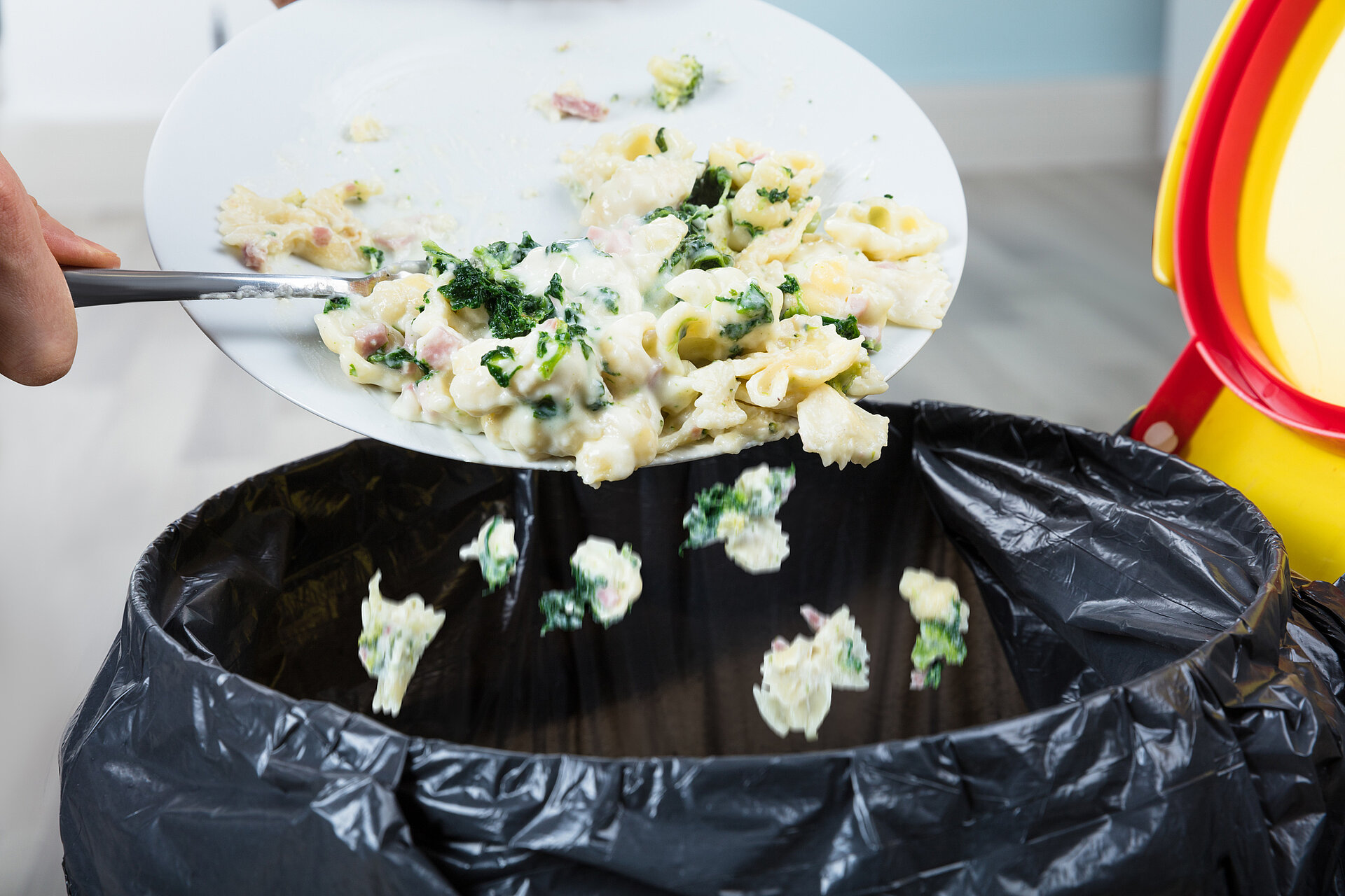 Food waste management