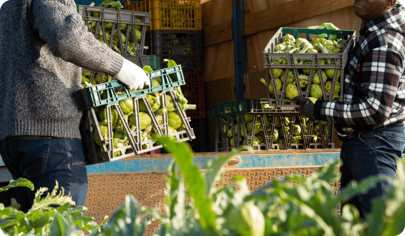 Un homme transportant une caisse de légumes verts frais, démontrant son engagement à fournir des produits sains pour une cantine scolaire.