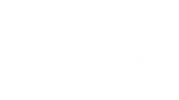 Domus Vi