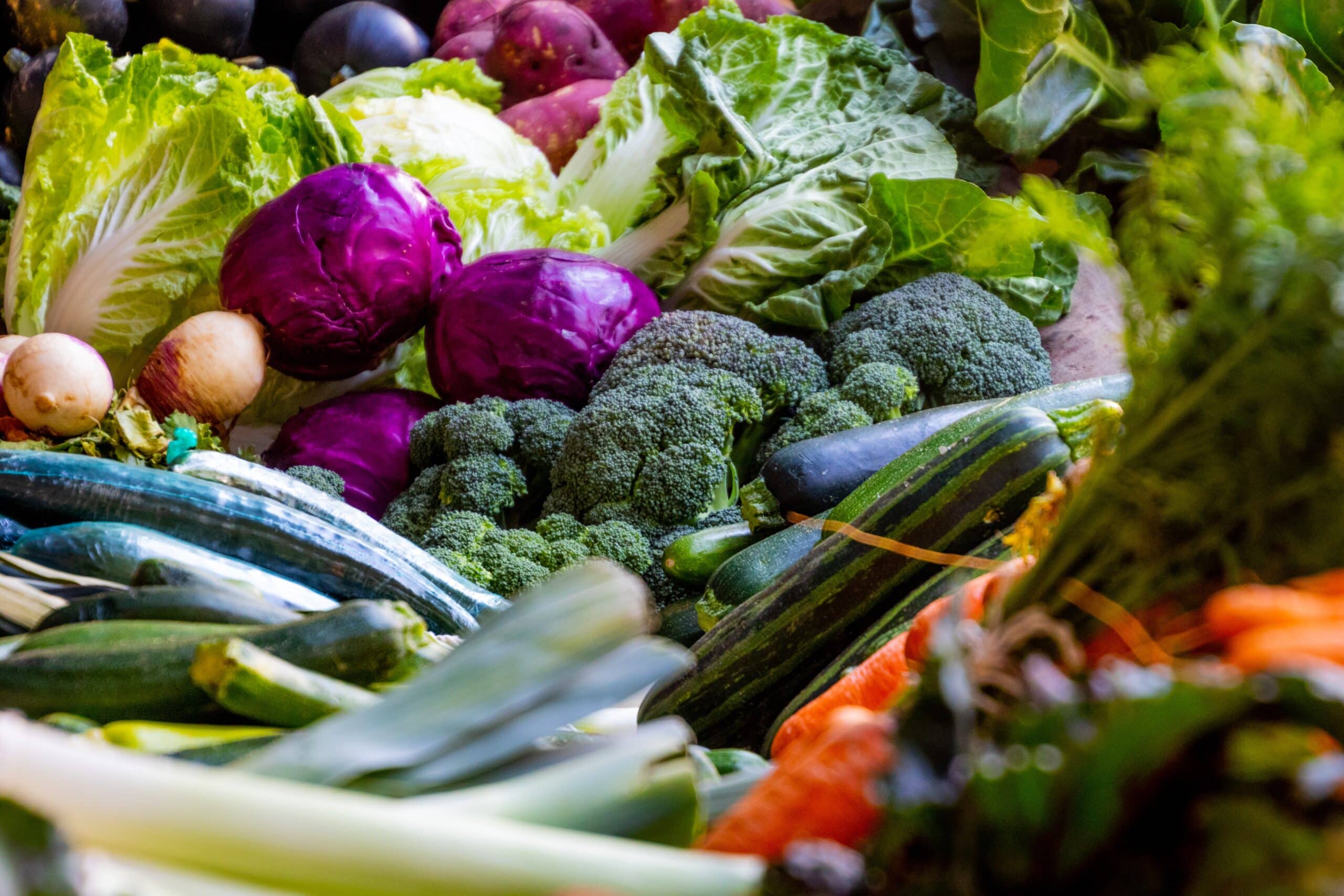 Un assortiment coloré de légumes frais, comprenant notamment du chou vert et violet, du brocoli, des courgettes, des carottes, des poireaux et des navets, disposés les uns à côté des autres.