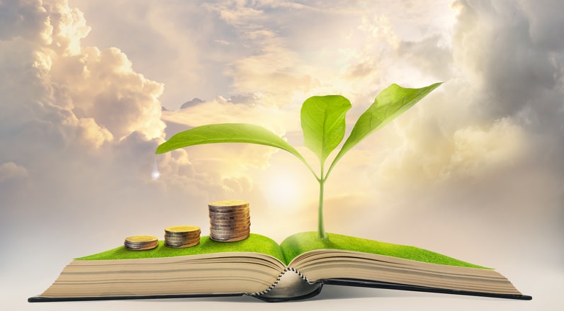 An open book with stacked coins and a green plant sprouting from its pages, set against a bright sky with clouds and sunlight, symbolising growth, knowledge, and financial prosperity.
