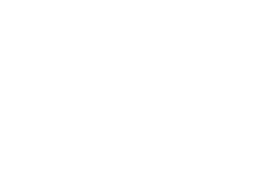 The image shows the word Levy written in a large, white, cursive font on a light grey background.