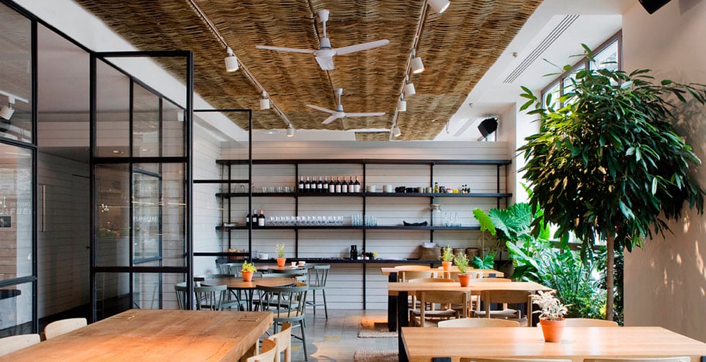 Una cafetería moderna con mesas de madera, plantas en macetas, grandes ventanales, estanterías abiertas y un techo con ventiladores y un acabado texturizado. La luz natural inunda este espacio luminoso y minimalista.